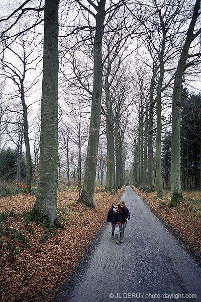 promenade dans la fort - walk in the forest